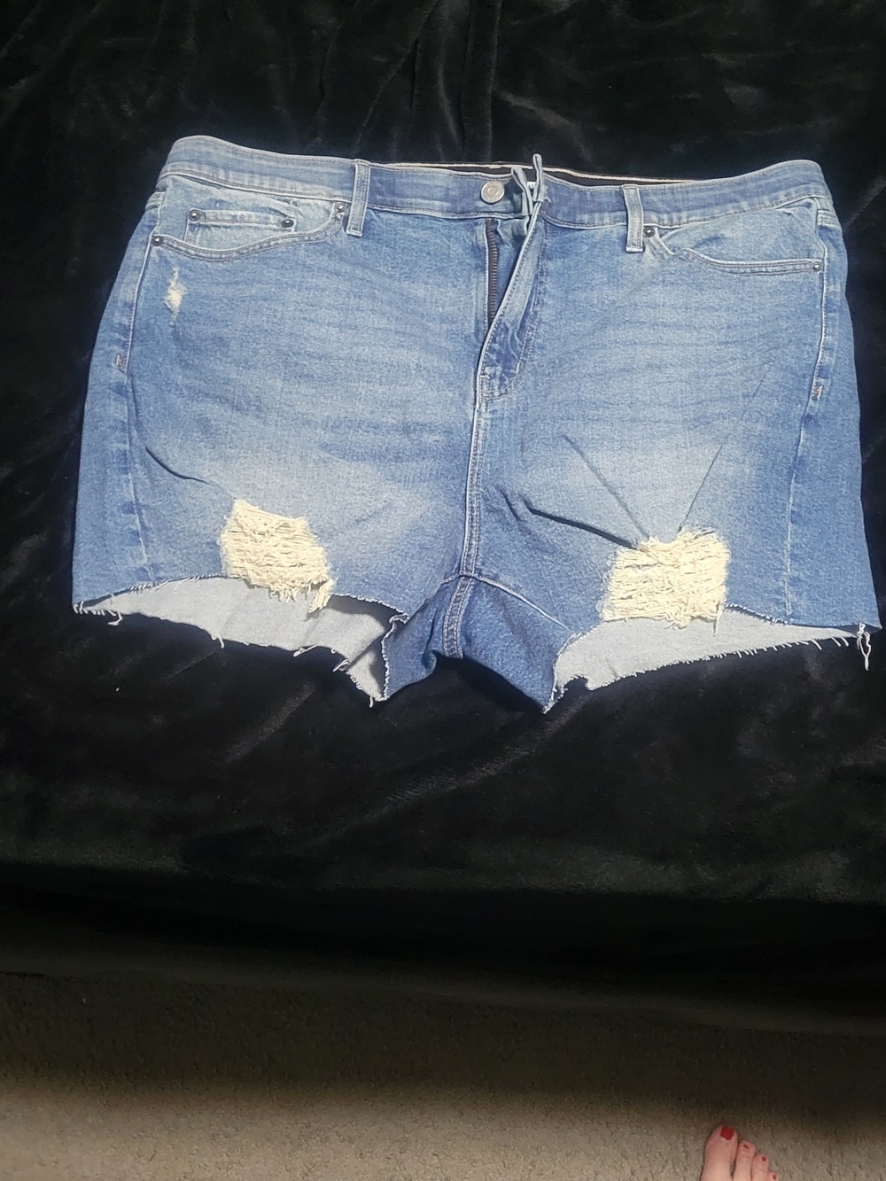 torrid Light Blue Distressed Jean Shorts